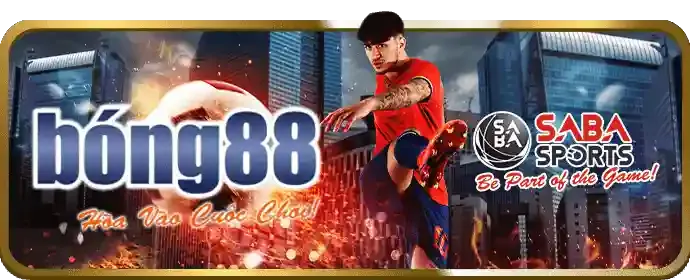 Tập trung vào các con cá đang bơi ra từ góc